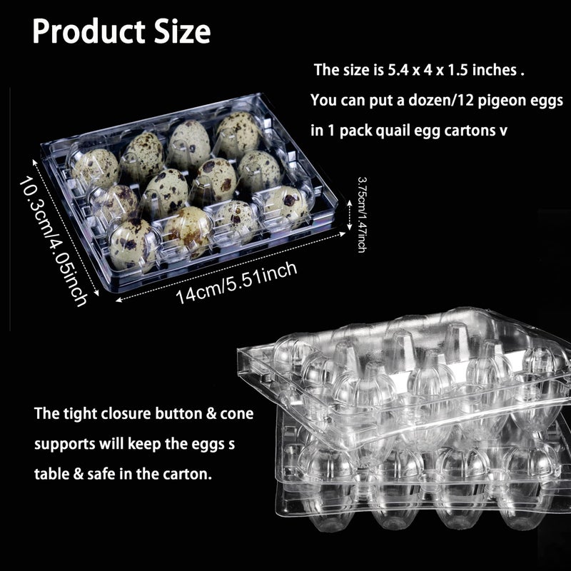 Loving Basso Quail Egg Cartons, 25 Pack, Each 12 Small Egg Trays, Reusable, Recyclable Plastic, Ideal for Refrigerator, 100% Eco-Friendly, Healthy and Pollution-Free - Image 2